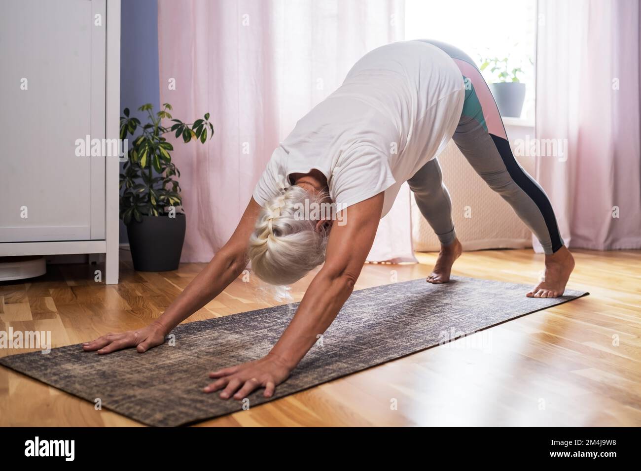 Seniorin, die Yoga-Übungen im Zimmer macht, mit Blick auf die Hundehaltung Stockfoto