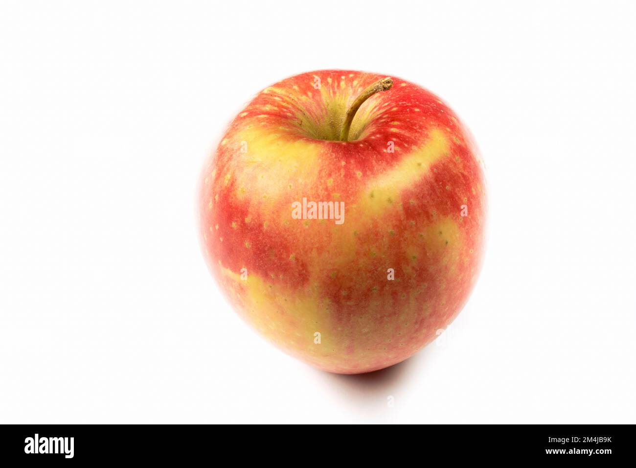 Ein Apfel ist eine essbare Frucht, die von einem Apfelbaum, Malus domestica, produziert wird. Apfelbäume werden weltweit angebaut und sind die am häufigsten angebaute Art im Jahr Stockfoto