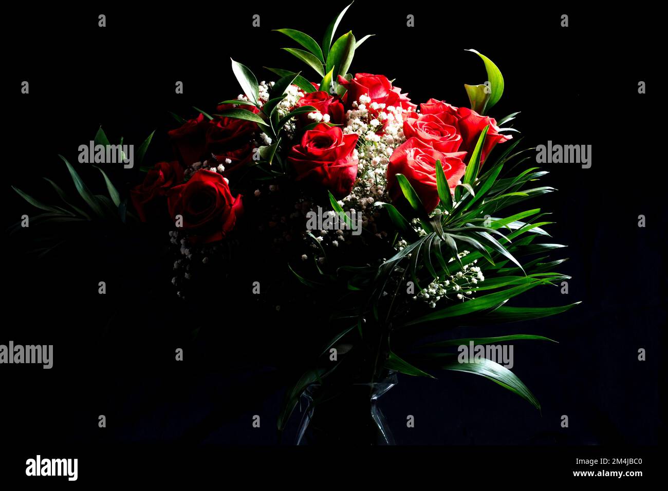 Schließen. Strauß roter Rosenblüten, isoliert auf schwarzem Hintergrund. Stockfoto