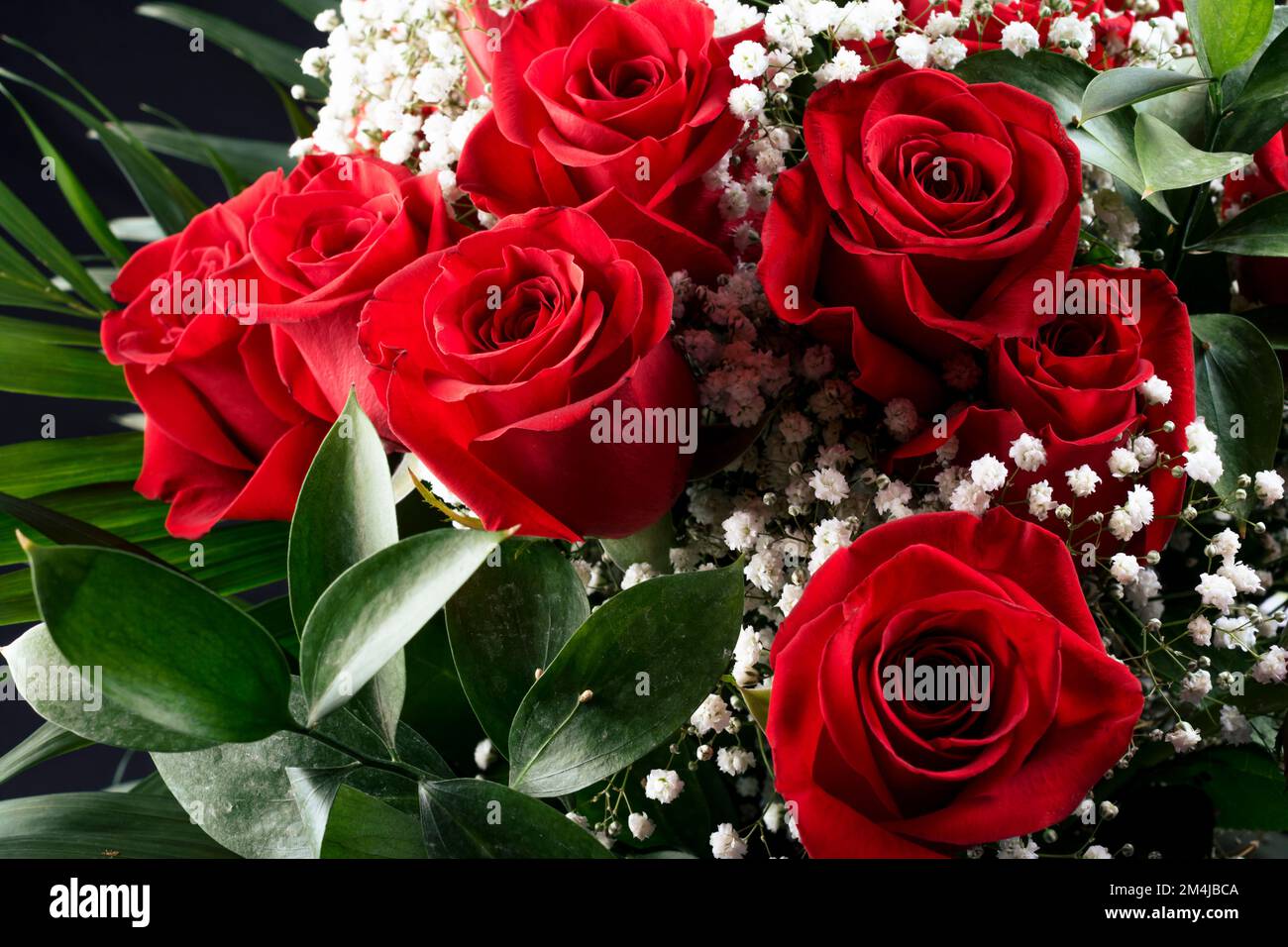 Schließen. Strauß roter Rosenblüten, isoliert auf schwarzem Hintergrund. Stockfoto