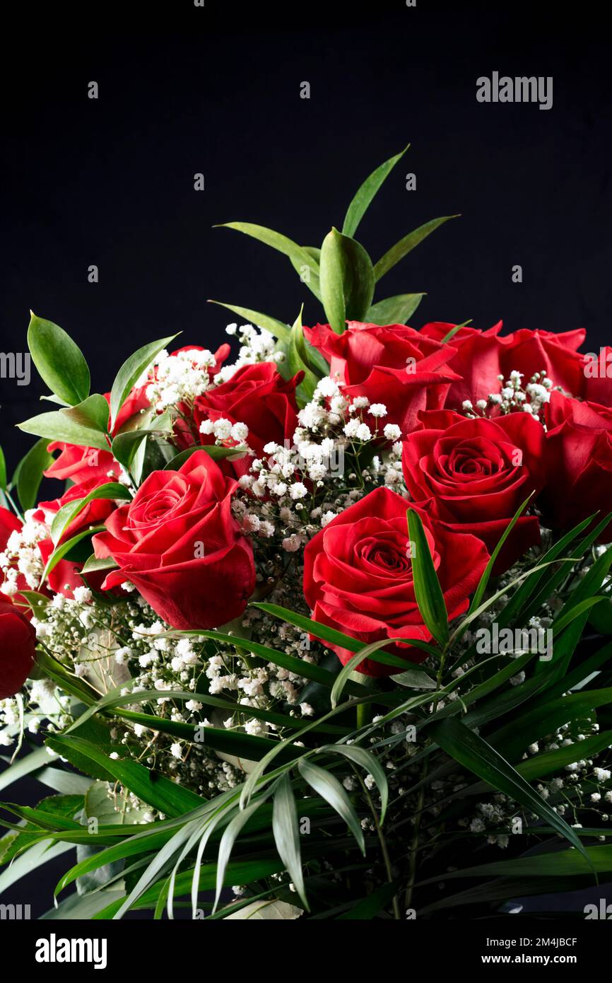 Schließen. Strauß roter Rosenblüten, isoliert auf schwarzem Hintergrund. Stockfoto