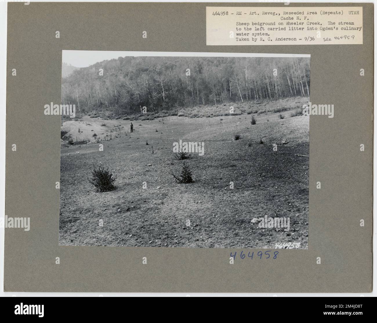 Bereichswiederholung - Serie Wiederholen - Alle Zustände. Fotografien zu National Forests, Resource Management Practices, Personal sowie Kultur- und Wirtschaftsgeschichte Stockfoto Bereichswiederholung - Serie Wiederholen - Alle Zustände. Fotografien zu National Forests, Resource Management Practices, Personal sowie Kultur- und Wirtschaftsgeschichte Stockfoto