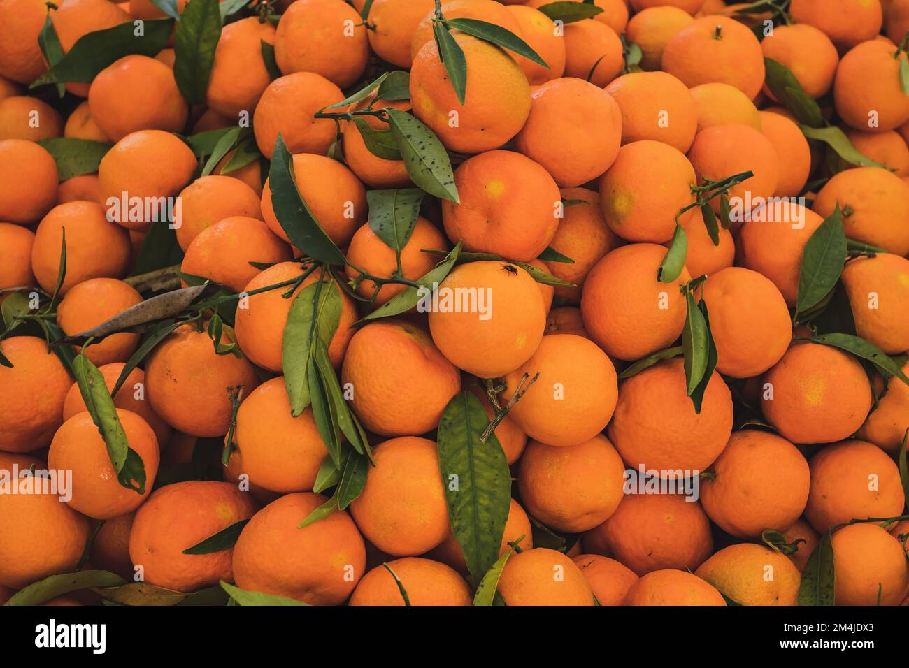 Frisches Orangenobst auf dem Bauernmarkt. Draufsicht Stockfoto