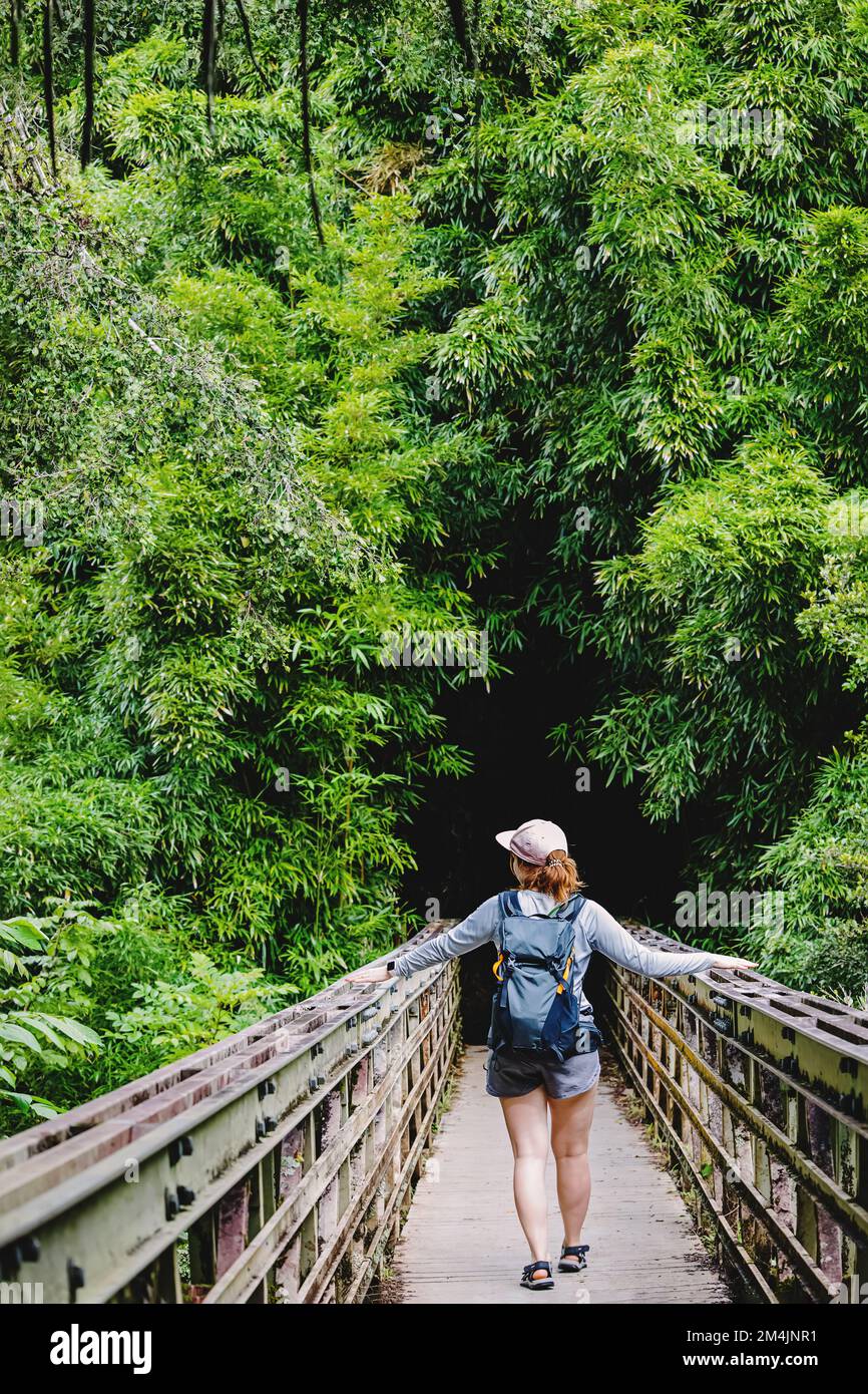 Eine Frau mit einem Rucksack, die auf der Brücke steht, den Bambuswald betritt, Blick von hinten Stockfoto