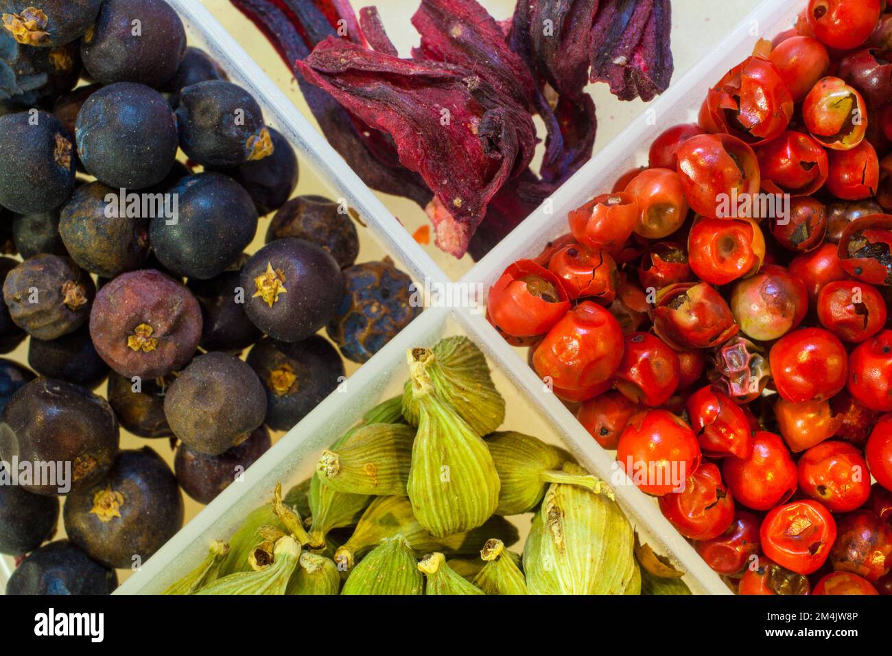 Behälter mit getrockneten gemischten Beeren. Stockfoto