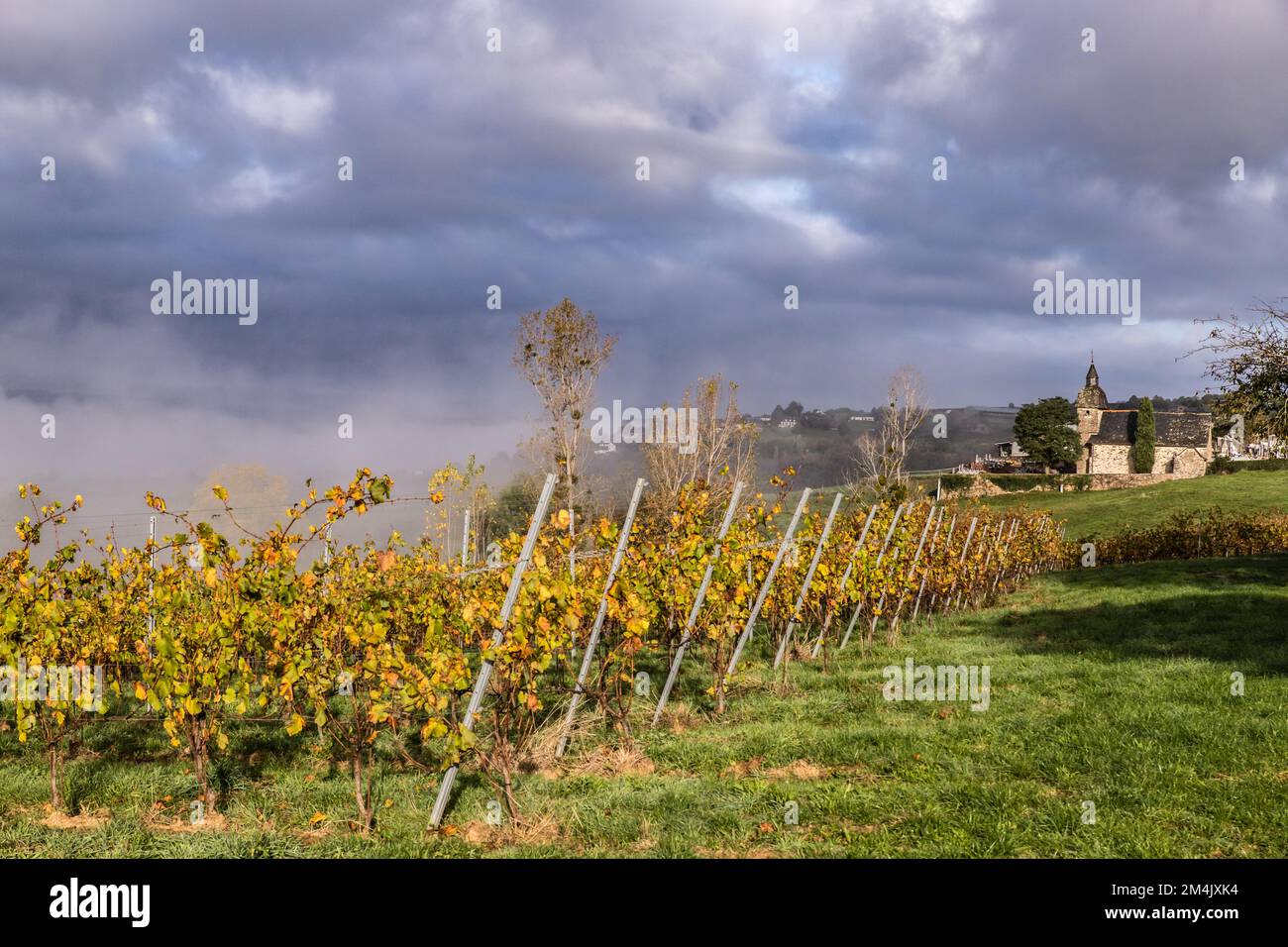 La Chartroulle - Vue matinale des Vignobles en automne Stockfoto