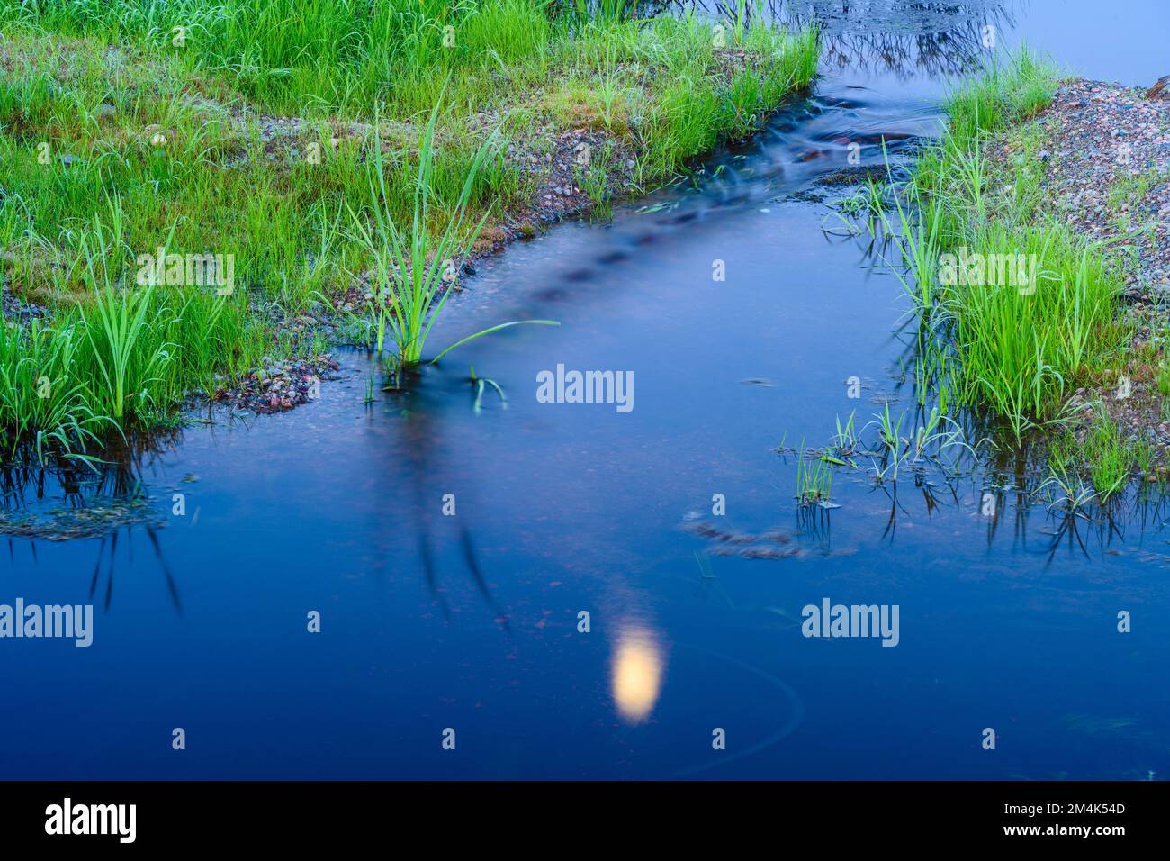 Fließendes Wasser in einem kürzlich abgetropften Biberteich, reflektiertes Mondlicht, Greater Sudbury, Ontario, Kanada Stockfoto