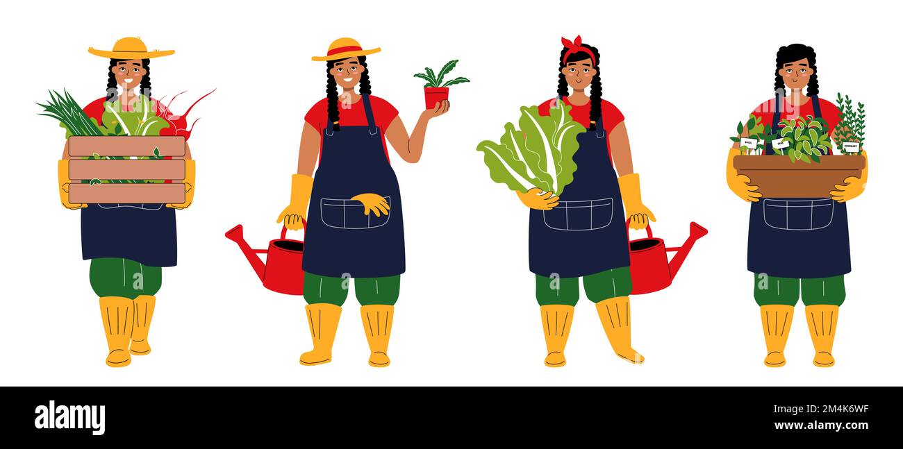 Ein Satz Figuren als Latina-süße Gärtnerin. Lächelnde junge Frau, die eine Kiste Gemüse trägt. Dunkelhaariges Mädchen mit Hut und chinakohl Stock Vektor