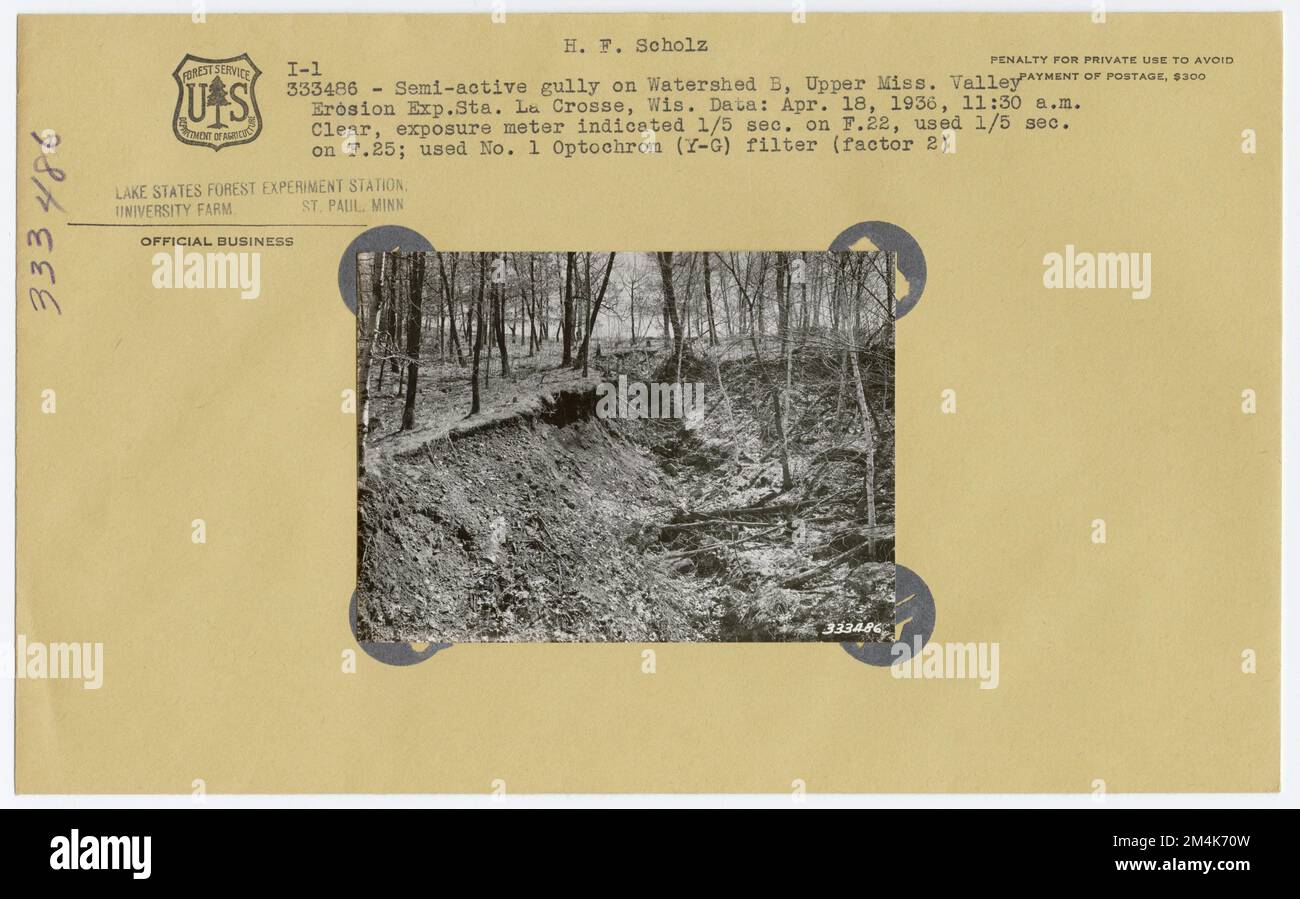 Erosionseffekt - Gully Erosion. Fotografien zu National Forests, Resource Management Practices, Personal sowie Kultur- und Wirtschaftsgeschichte Stockfoto