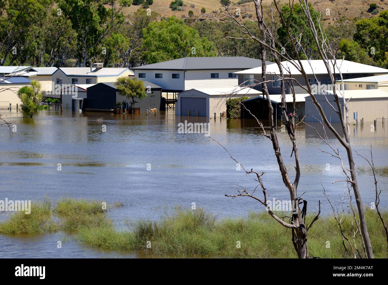 Überflutete Häuser am Bow Hill in Südaustralien während der Überschwemmung des Flusses Murray im Jahr 2022 Stockfoto