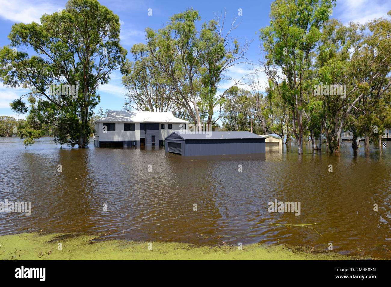 Überflutetes Haus in Blanchtown in Südaustralien während der Überschwemmung des Flusses Murray im Jahr 2022 Stockfoto