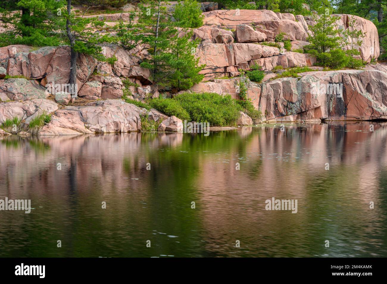 Cranberry Bog, Killarney Provincial Park, Ontario, Kanada Stockfoto