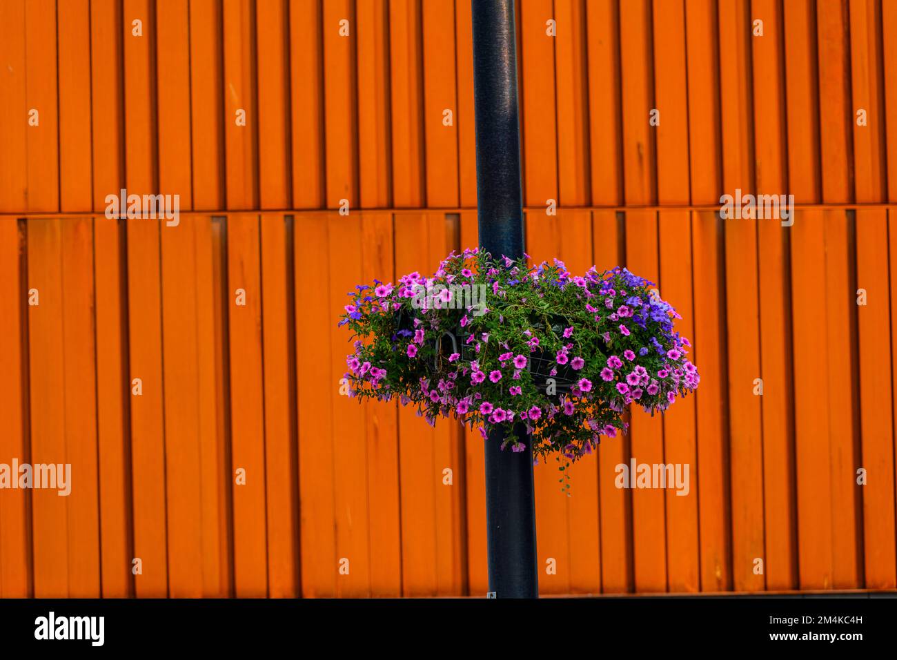 Das neue Gebäude Place des Arts in Downtown Sudbury, Greater Sudbury, Ontario, Kanada Stockfoto