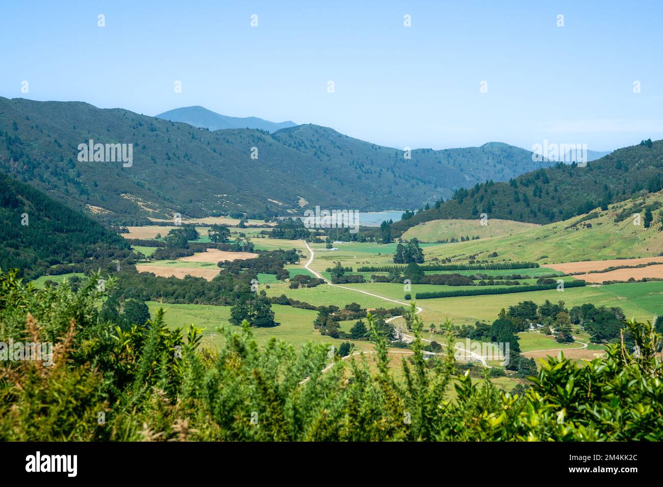 Ländliche Schotterstraße, die durch das Tal zur entfernten Bucht in Marlborough Sounds führt. Stockfoto