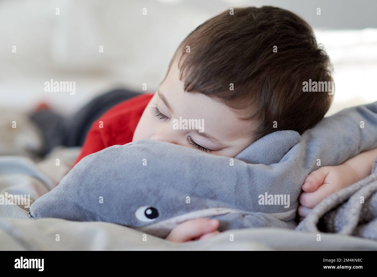 Ein kleiner Junge, der auf dem Bett ein Nickerchen macht, und sein Plüschtier als Kissen benutzt Stockfoto