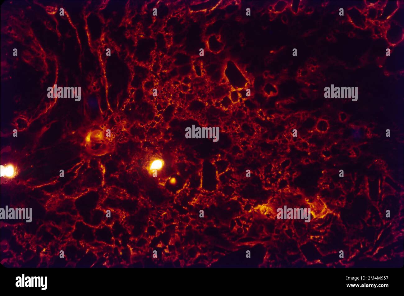 Eisen kupfer -Fotos und -Bildmaterial in hoher Auflösung – Alamy