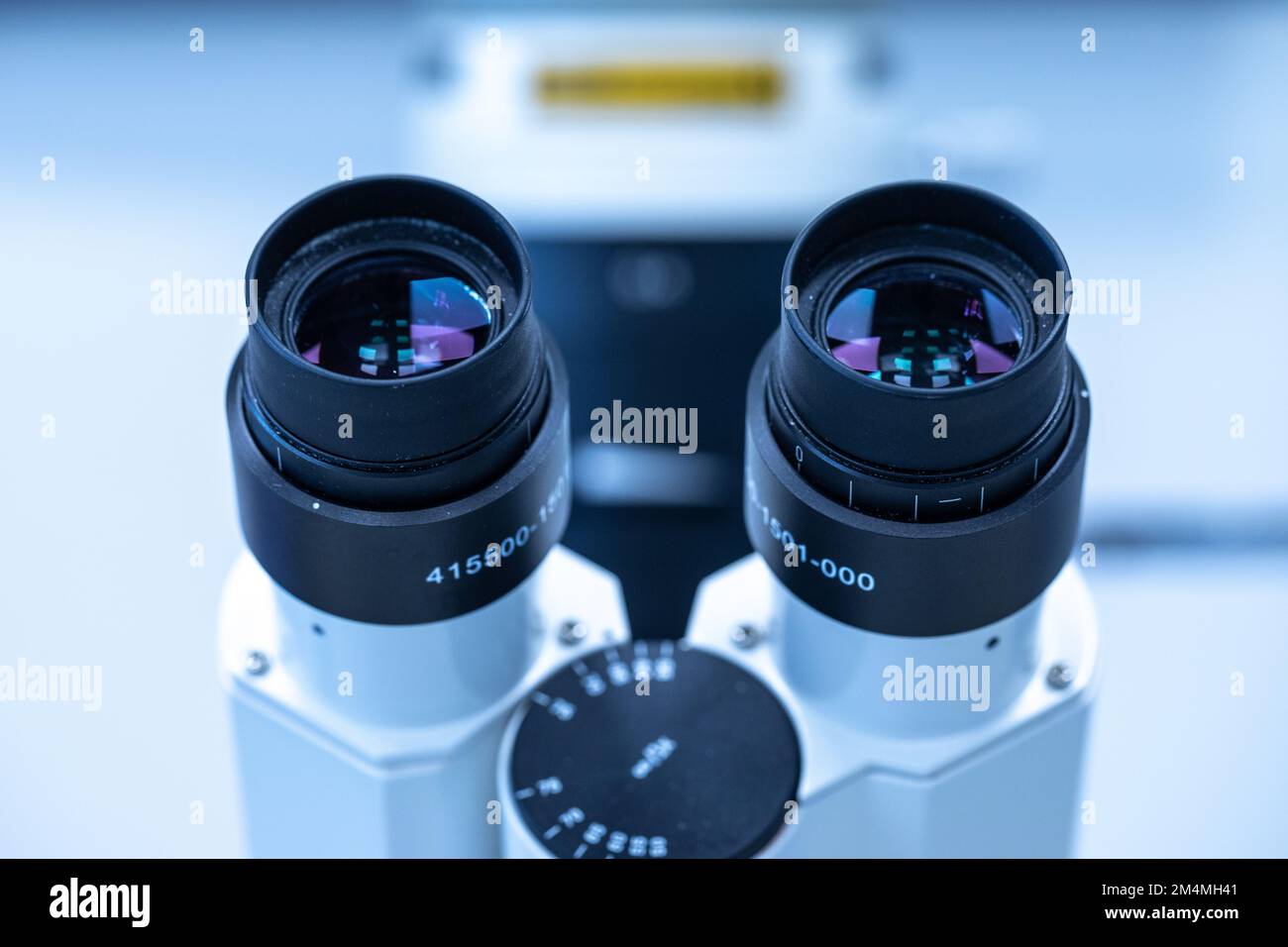 Professionelles biokulares Labormikroskop mit im Laborraum isoliertem Stereo-Okular. Echte zweiteilige Wimpern im Labor Stockfoto