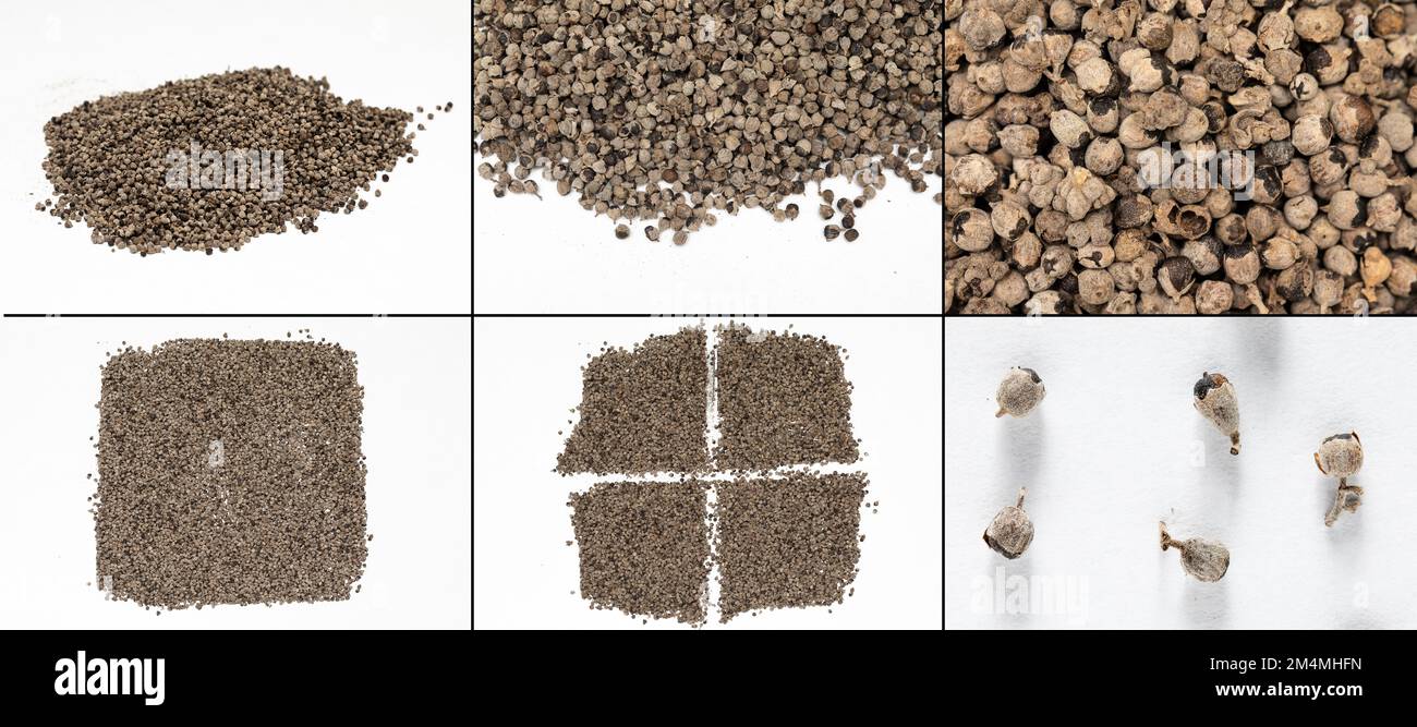 Collage mit Samen des Keuschestaums, Vitex agnus-castus, auch falscher Pfeffer genannt. Zusammensetzung von 6-Bildern, die mit Seeds auf weißem Hintergrund erstellt wurden Stockfoto