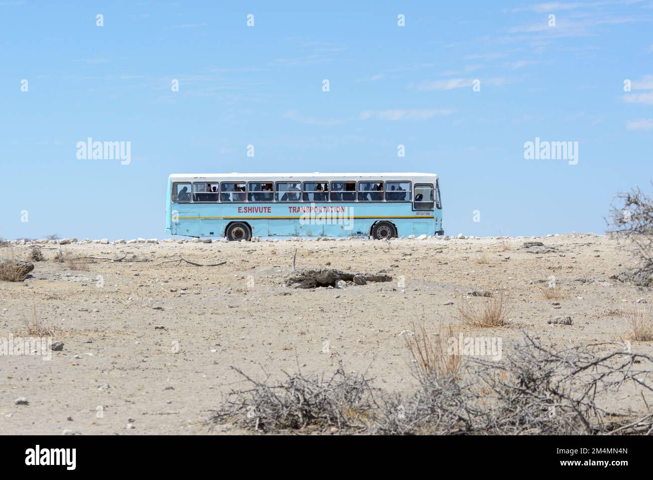 Ein blauer Bus voller einheimischer Namibischer Tagesausflügler und Touristen, die einen Ausflug zum Etosha Nationalpark genießen, um die Tierwelt, Namibia, Südwestafrika zu sehen Stockfoto