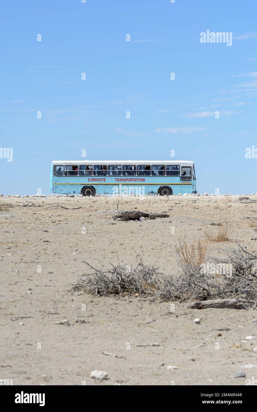 Ein blauer Bus voller einheimischer Namibischer Tagesausflügler und Touristen, die einen Ausflug zum Etosha Nationalpark genießen, um die Tierwelt, Namibia, Südwestafrika zu sehen Stockfoto