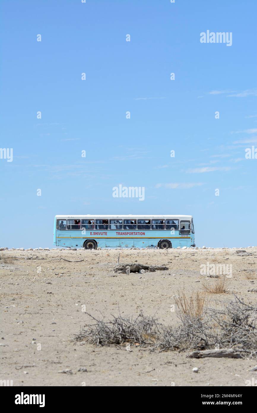 Ein blauer Bus voller einheimischer Namibischer Tagesausflügler und Touristen, die einen Ausflug zum Etosha Nationalpark genießen, um die Tierwelt, Namibia, Südwestafrika zu sehen Stockfoto