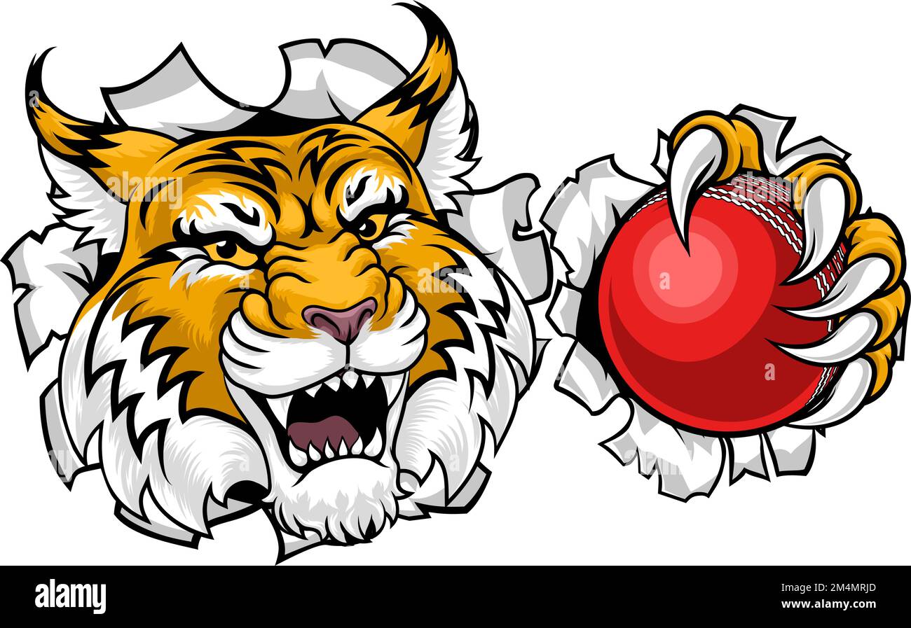 Wildcat Bobcat Cricket Ball Tier Team Maskottchen Stock Vektor