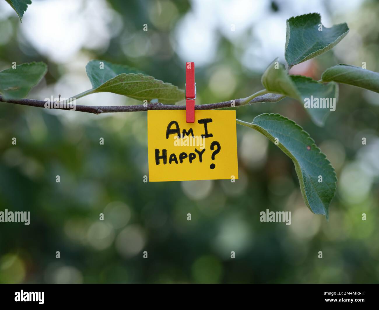 Ein Zettel mit der Frage "bin ich glücklich", der an einem Baum mit einer Wäscheklammer befestigt ist. Schließen. Stockfoto