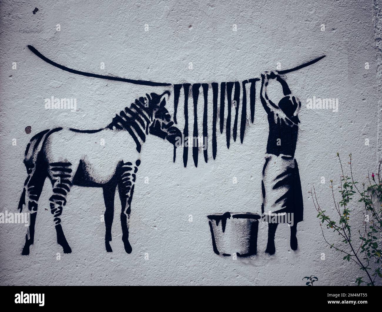 Ein Graffiti-Gemälde einer alten Bauernfrau und ein Zebra an einer weißen Wand in Nantes Stockfoto