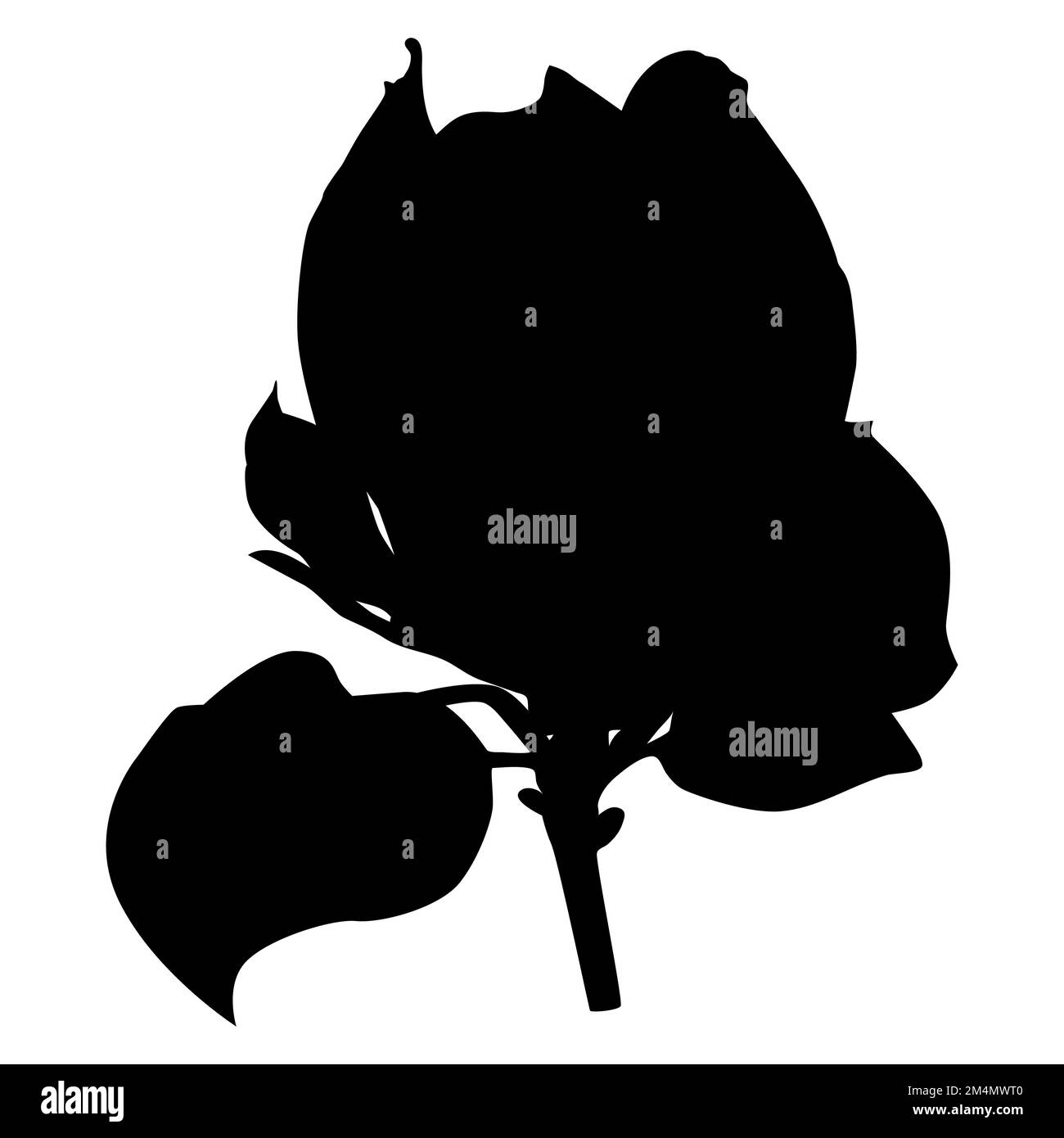 Schöne Magnolienbaumblume. Blühende Frühlingsmagnolie, Vektor-Illustration Stock Vektor