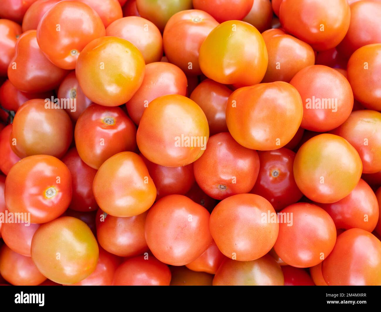 Lebendige südasiatische Aromen und frisches südasiatisches Bio-Gemüse. Lebendiges südasiatisches Gemüse. Ihre einzigartigen Formen, Farben und Texturen Stockfoto