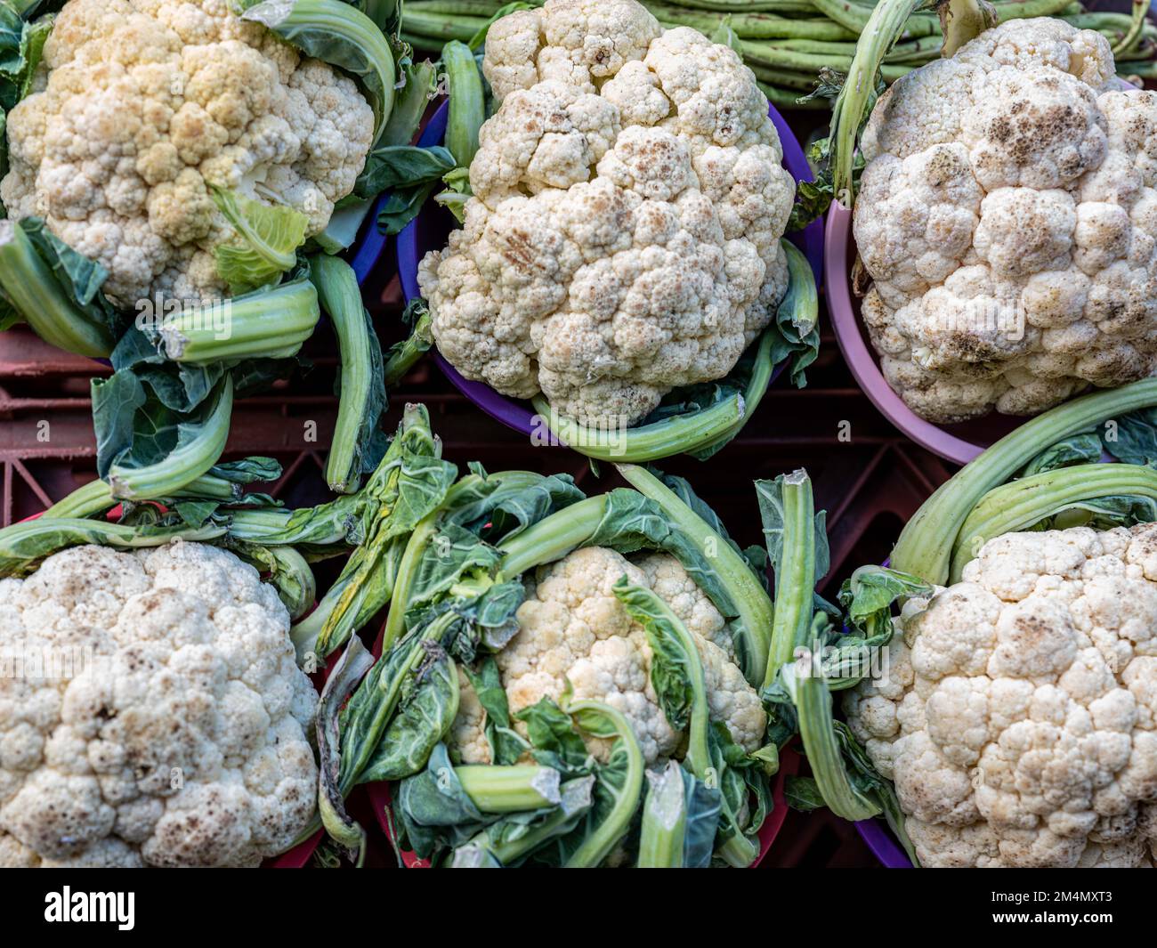 Lebendige südasiatische Aromen und frisches südasiatisches Bio-Gemüse. Lebendiges südasiatisches Gemüse. Ihre einzigartigen Formen, Farben und Texturen Stockfoto