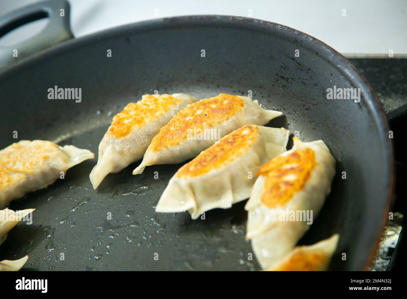 Gyozas, japanische Knödel. Traditionelle Gyozas sind gefüllt mit ...