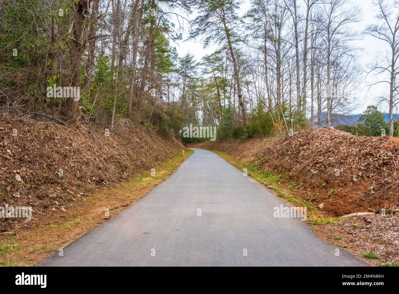 Der Swamp Rabbit Trail in Greenville County, South Carolina, ist eine Fußgängerzone und ein Radweg auf Asphalt. Stockfoto