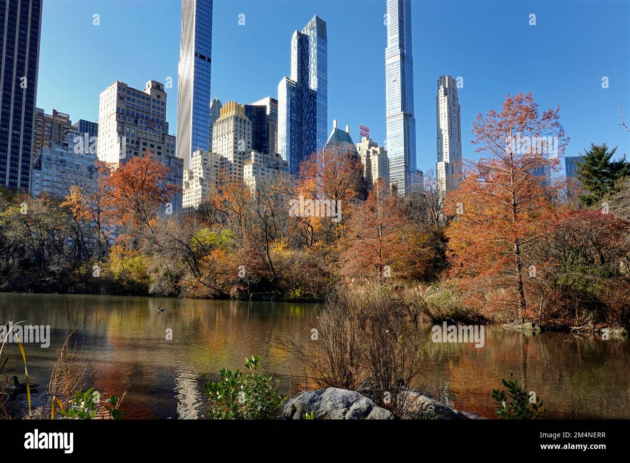 Herbstblick über den Teich im Central Park, New York Stockfoto