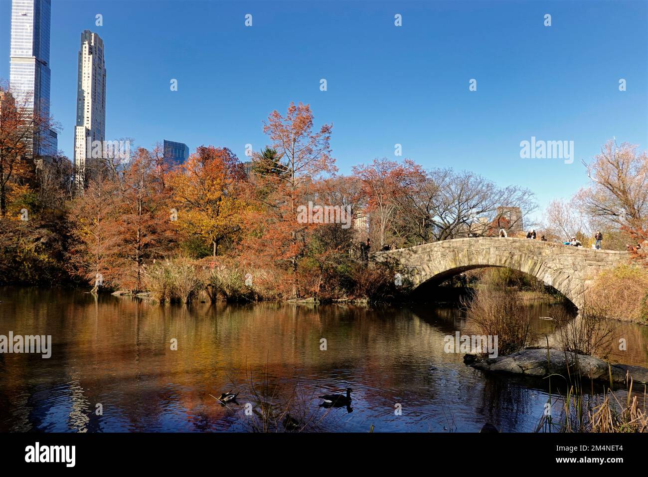 Herbstblick über den Teich im Central Park, New York Stockfoto