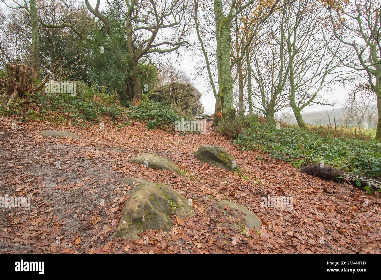 Ein Blick über den mit Felsen übersäten Pfad zu den Sandsteinfelsen an einem verregneten Herbstmorgen in Sussex England Stockfoto