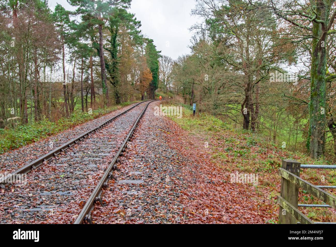 Ein Arbeiter in einer Hi Viz Jacke überprüft eine einreihige Strecke auf der Eisenbahn am anderen Ende der Strecke in der farbenfrohen Herbstlandschaft von Sussex in England Stockfoto