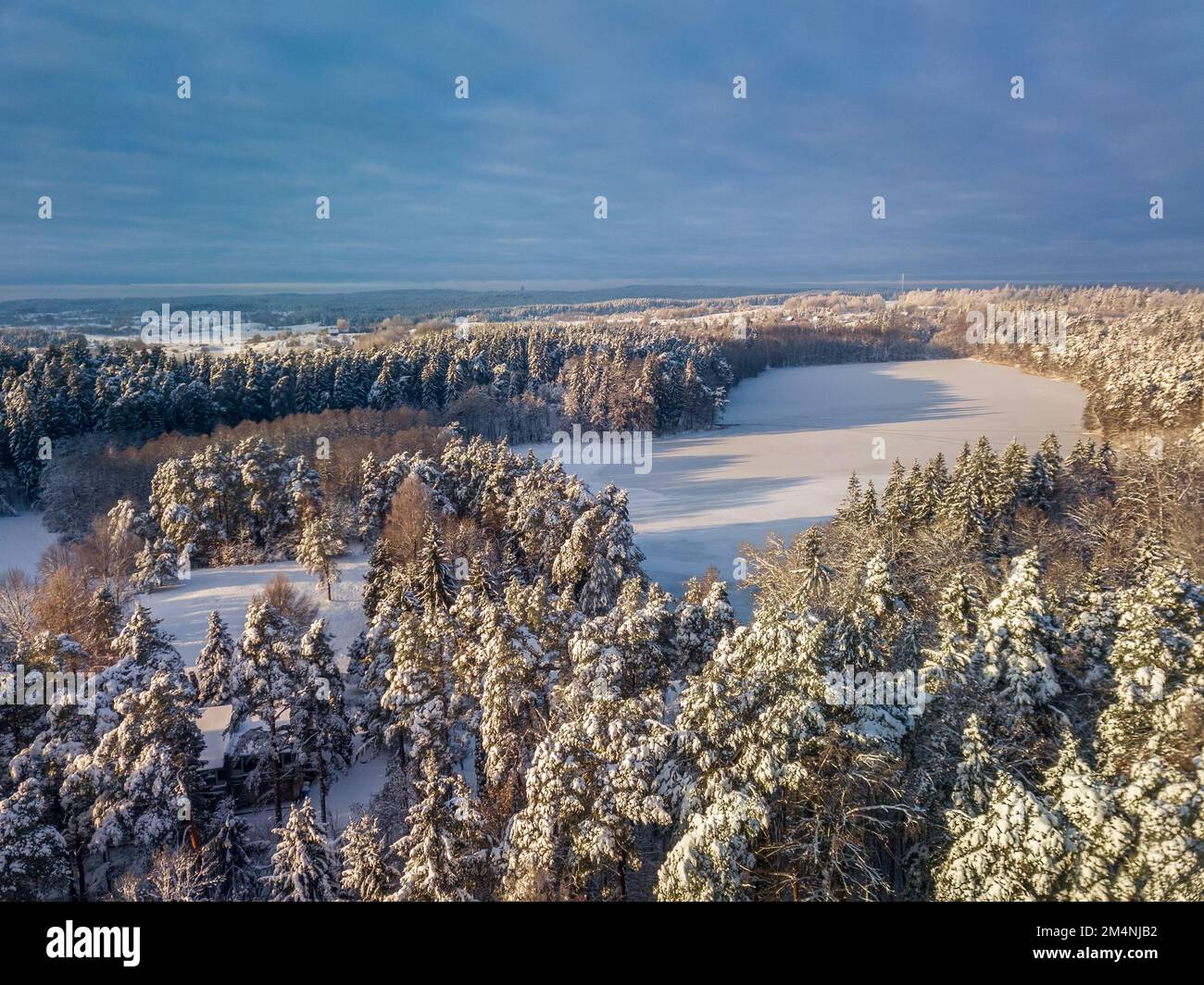 Luftbild des Winterwaldes, umgeben von Birkenwald. Drohnenschuss von Bäumen bedeckt mit Heiserfrost und Schnee. Natürlicher Winterhintergrund Stockfoto