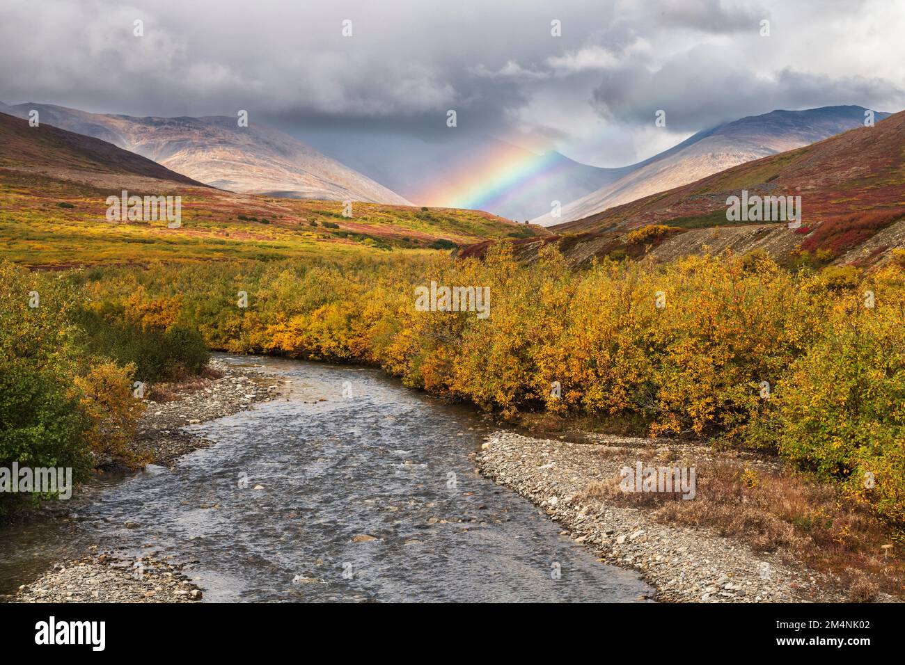 Nordamerika; Vereinigte Staaten; Alaska; Seward Peninsula; Tundra; Herbst Stockfoto