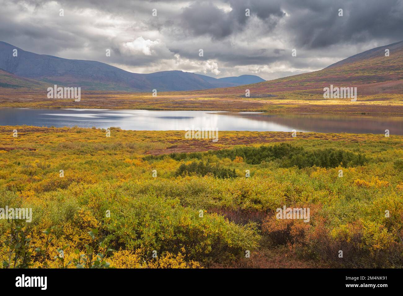 Nordamerika; Vereinigte Staaten; Alaska; Seward Peninsula; Tundra; Herbst Stockfoto