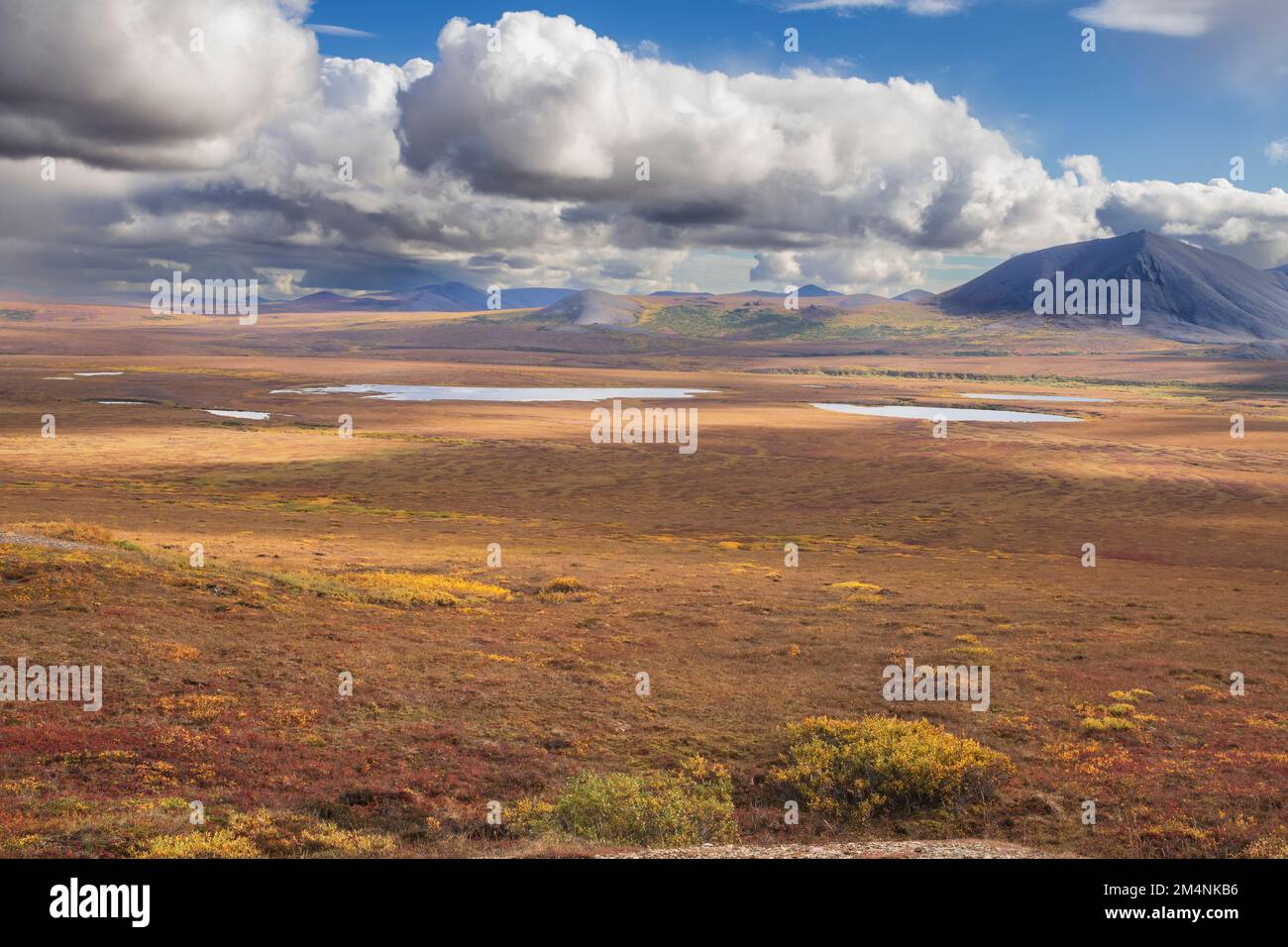 Nordamerika; Vereinigte Staaten; Alaska; Seward Peninsula; Tundra; Herbst Stockfoto
