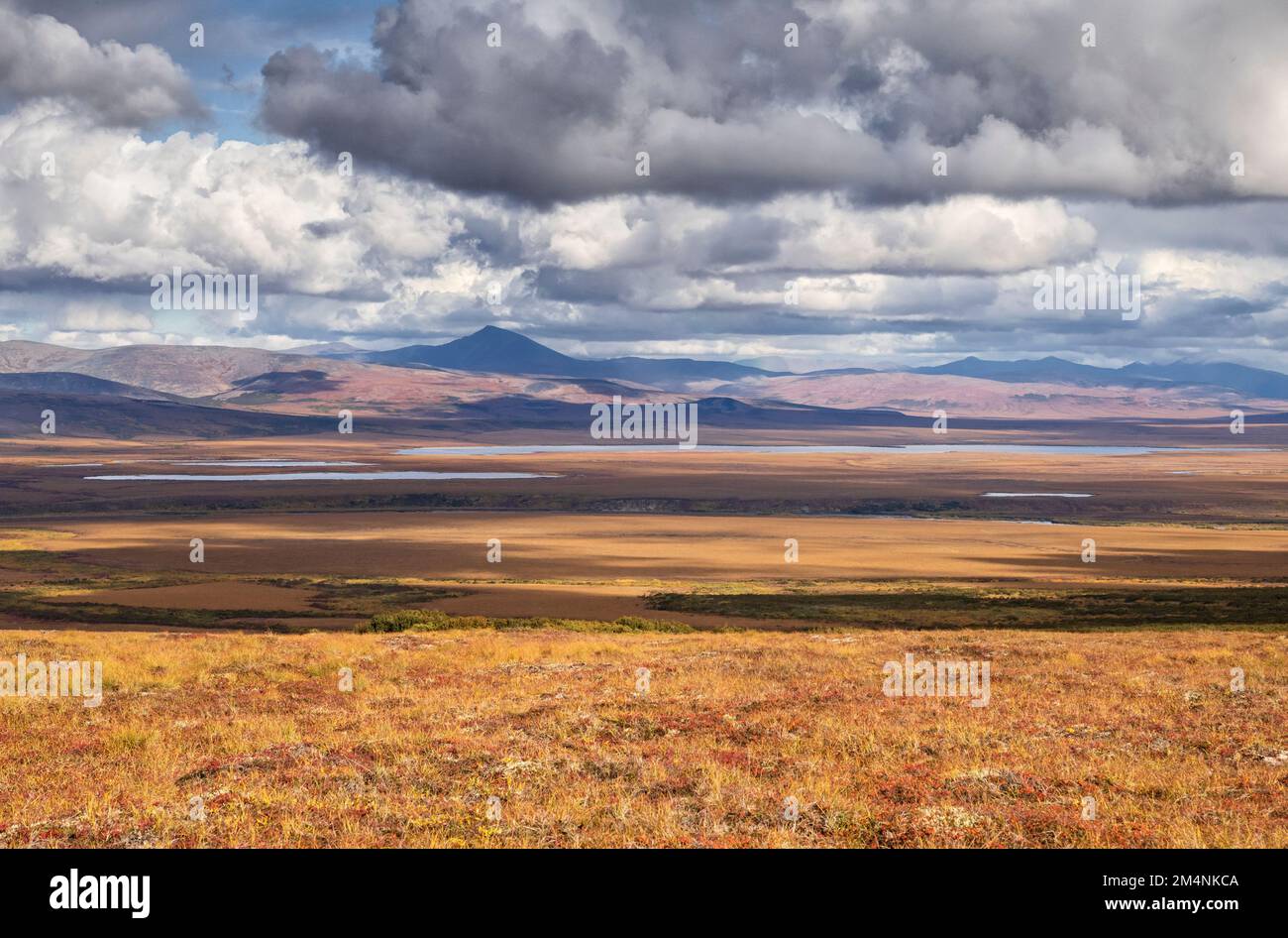 Nordamerika; Vereinigte Staaten; Alaska; Seward Peninsula; Tundra; Herbst Stockfoto