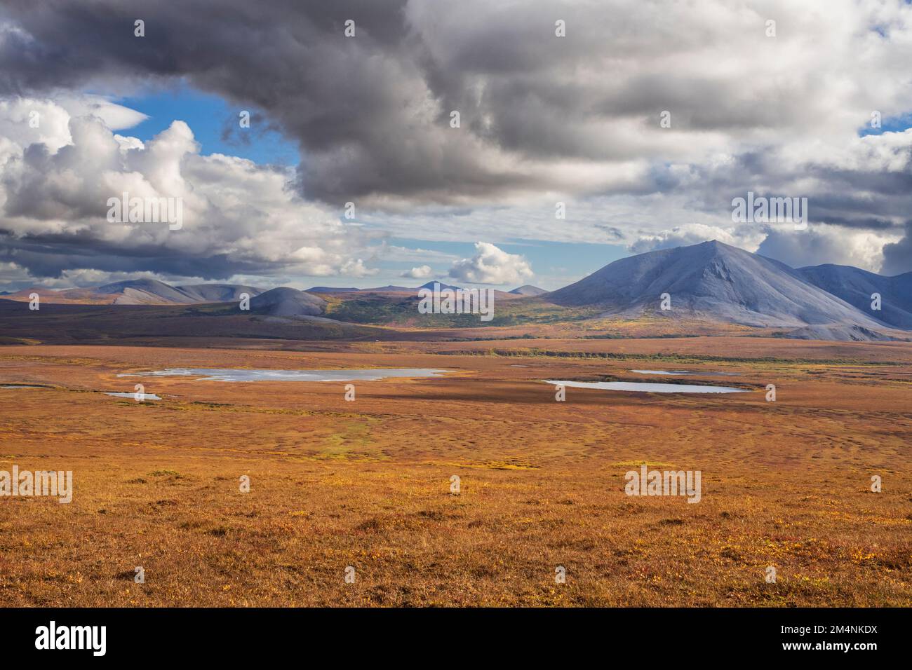 Nordamerika; Vereinigte Staaten; Alaska; Seward Peninsula; Tundra; Herbst Stockfoto