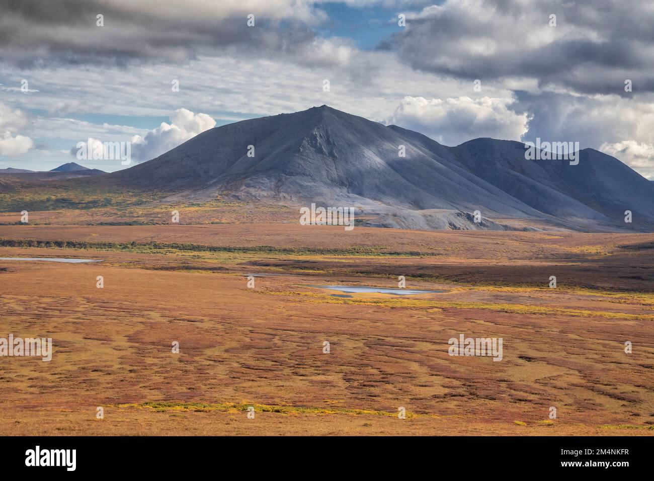 Nordamerika; Vereinigte Staaten; Alaska; Seward Peninsula; Tundra; Herbst Stockfoto
