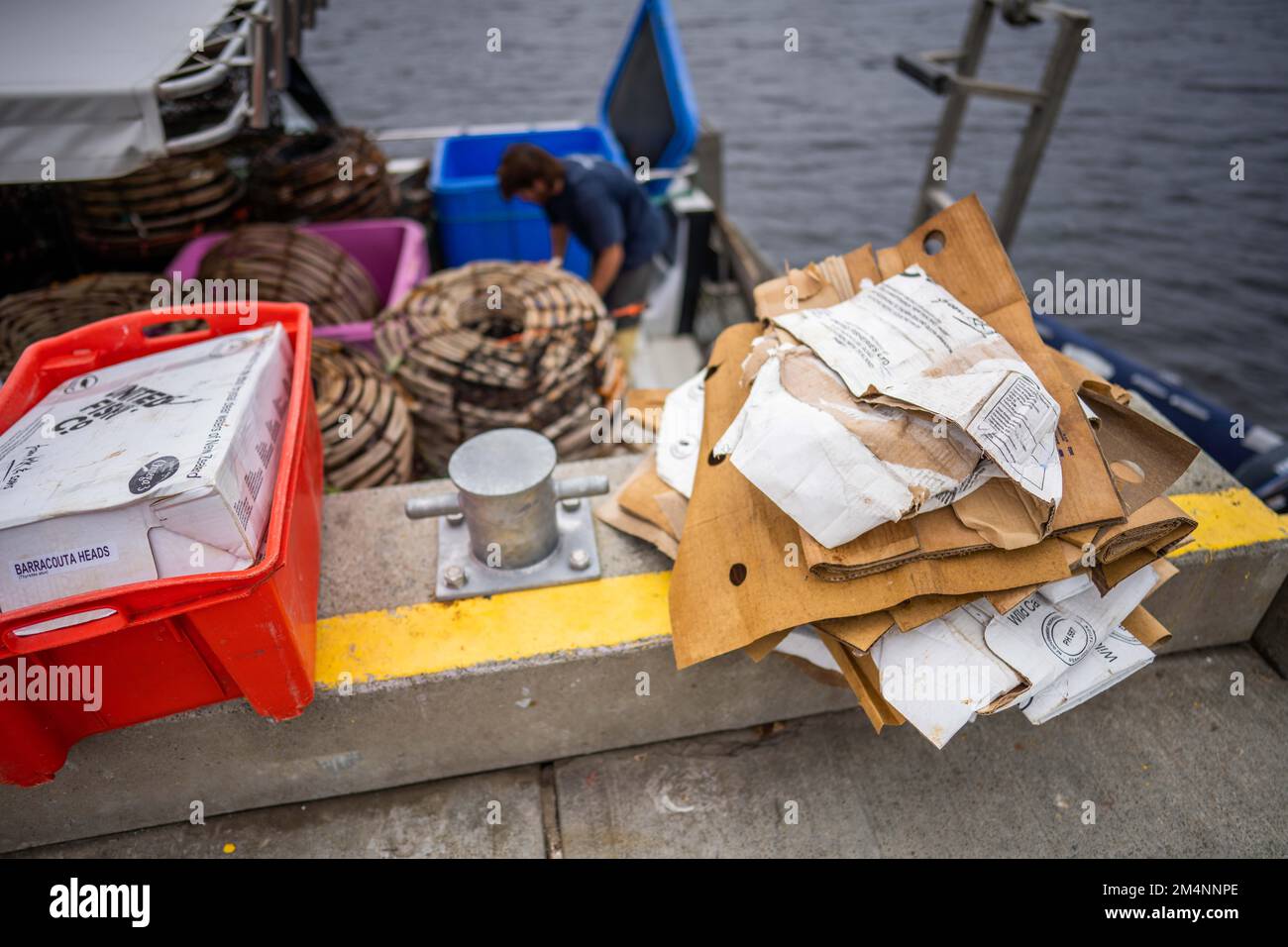 Recyceln von Pappe nach einem Angelausflug auf einem Boot in australien Stockfoto