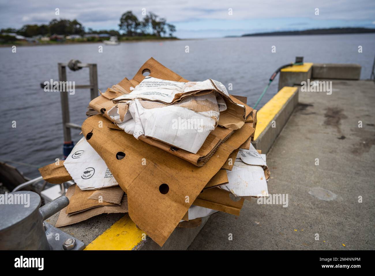 Recyceln von Pappe nach einem Angelausflug auf einem Boot in australien Stockfoto