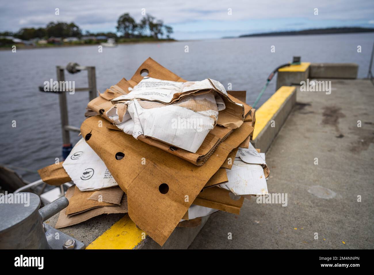 Recyceln von Pappe nach einem Angelausflug auf einem Boot in australien Stockfoto