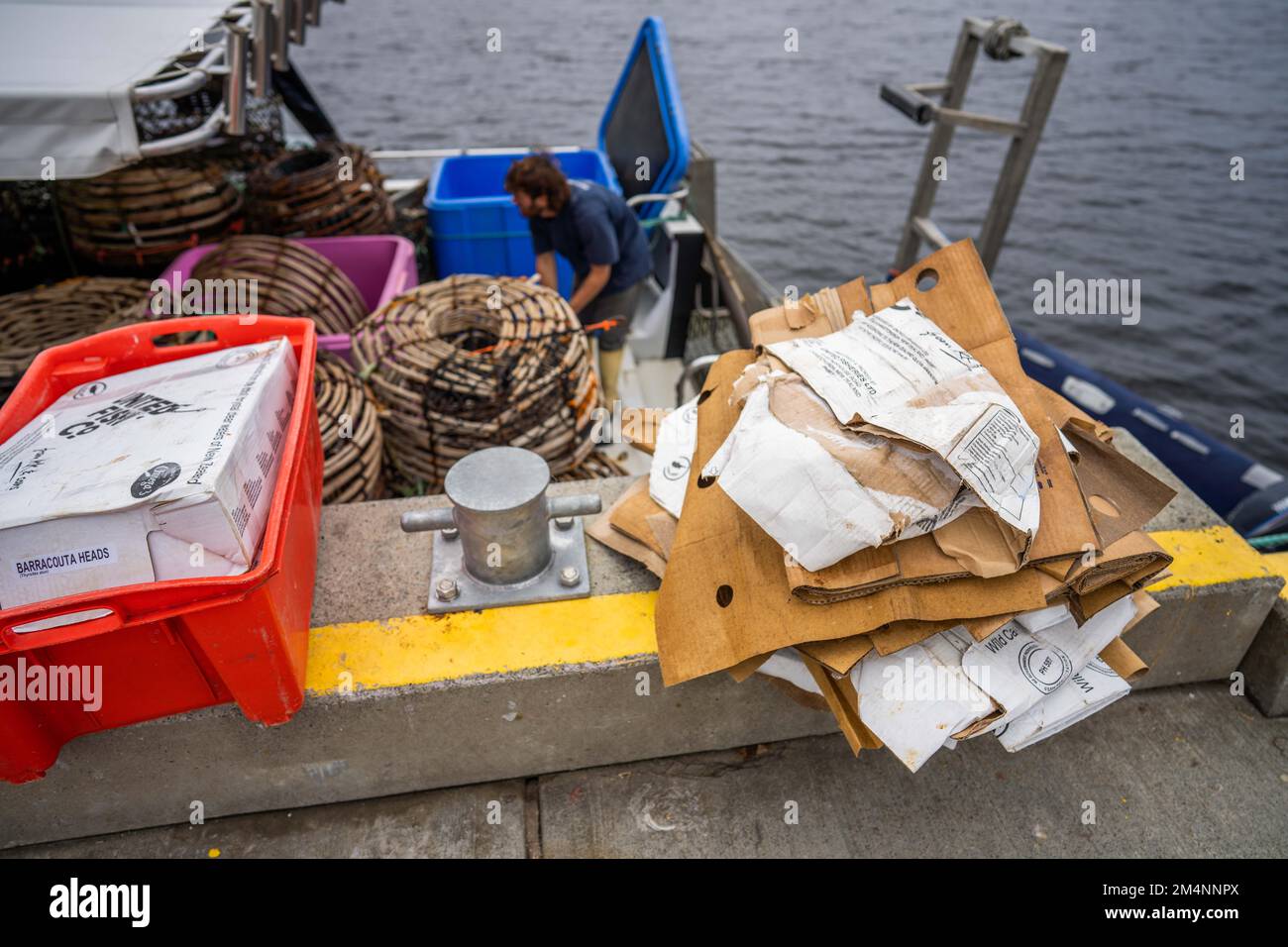 Recyceln von Pappe nach einem Angelausflug auf einem Boot in australien Stockfoto