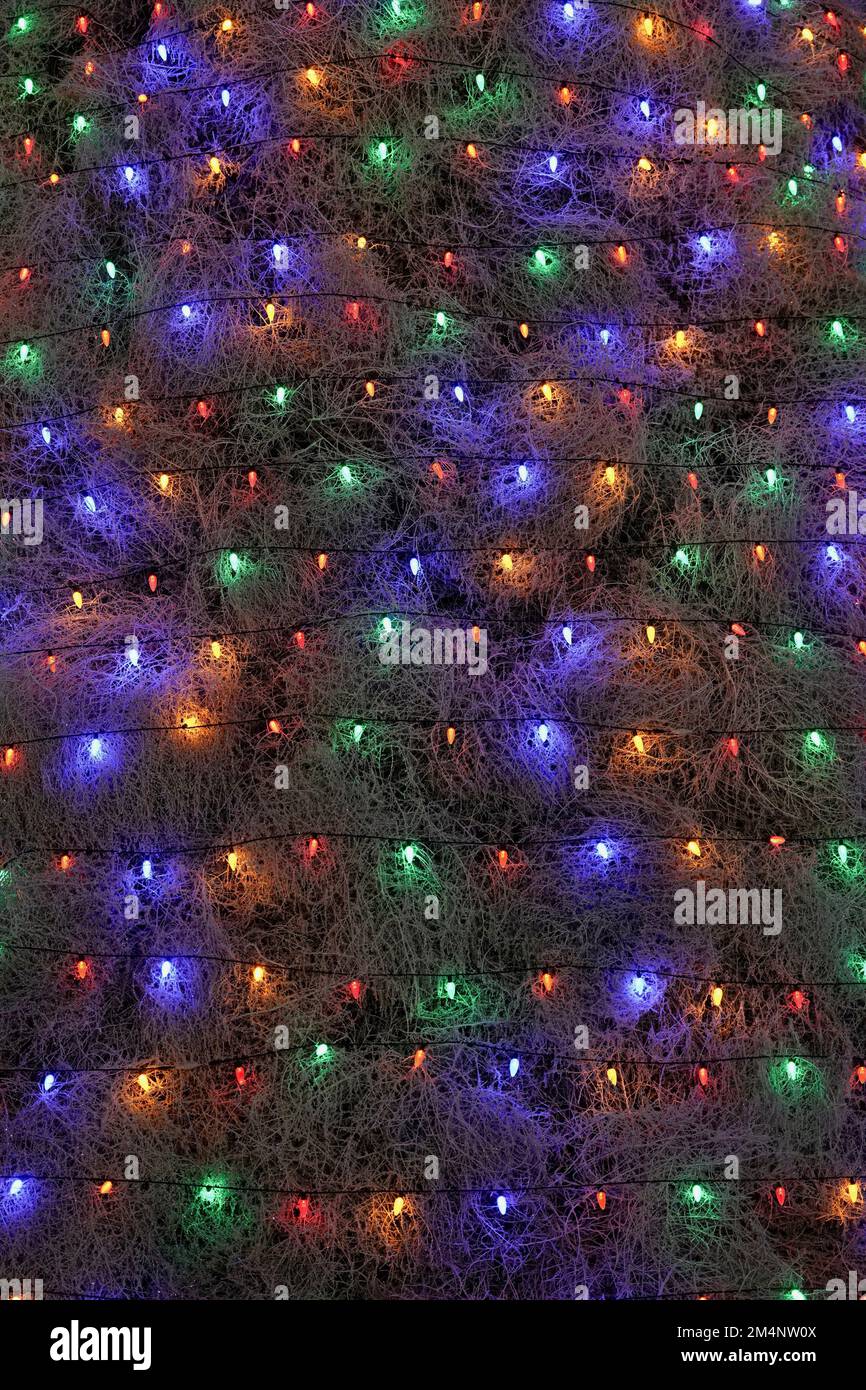 Eine Nahaufnahme der Weihnachtslichter, die um den Tümmler gewickelt sind. Stockfoto