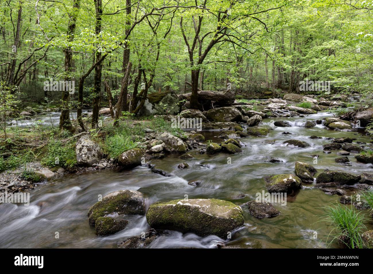TN00136-00....Tennessee - Mittelspitze des Little River, Great Smoky Mountains National Park. Stockfoto